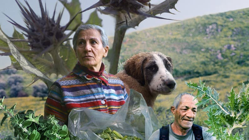 A collage of an older man and woman, and a dog.  There is a landscape in the background and thistle plants that have been enlargened.